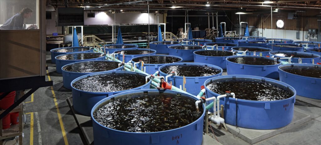 A standard fish farm